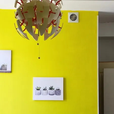 Joli T1 - Tres Proche Centre Apartment