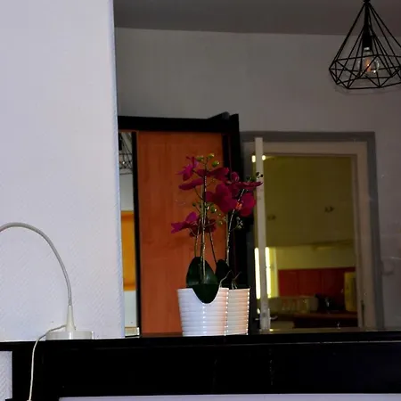 Joli T1 - Tres Proche Centre Apartment Dijon